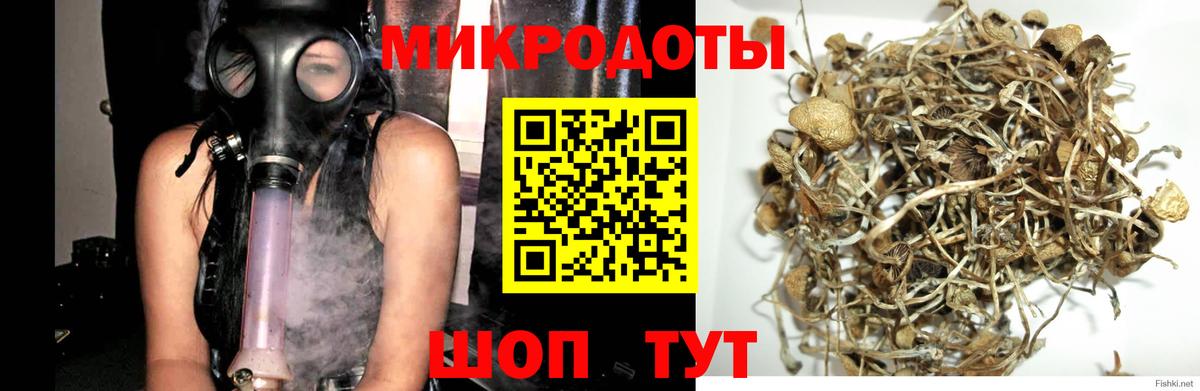 Псилоцибиновые грибы прущие грибы  Вход с VPN  Галлюциногенные грибы Magic Shrooms  Гусь-Хрустальный 